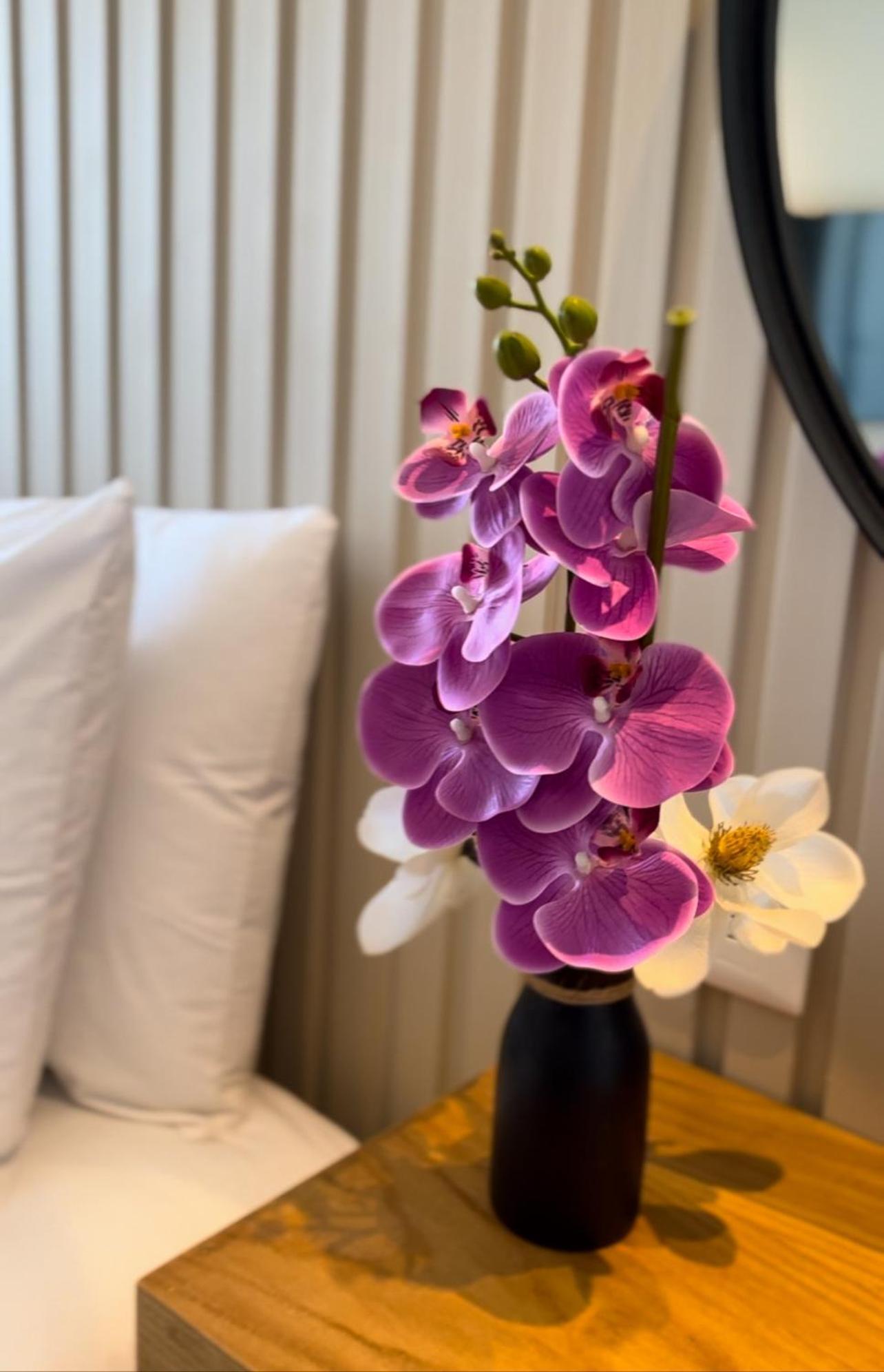 Coralia Boutique Hotel Cozumel Ngoại thất bức ảnh
